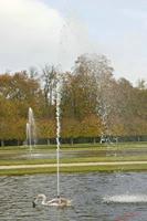 Cjp_2009_10_29_164540 (4).jpg